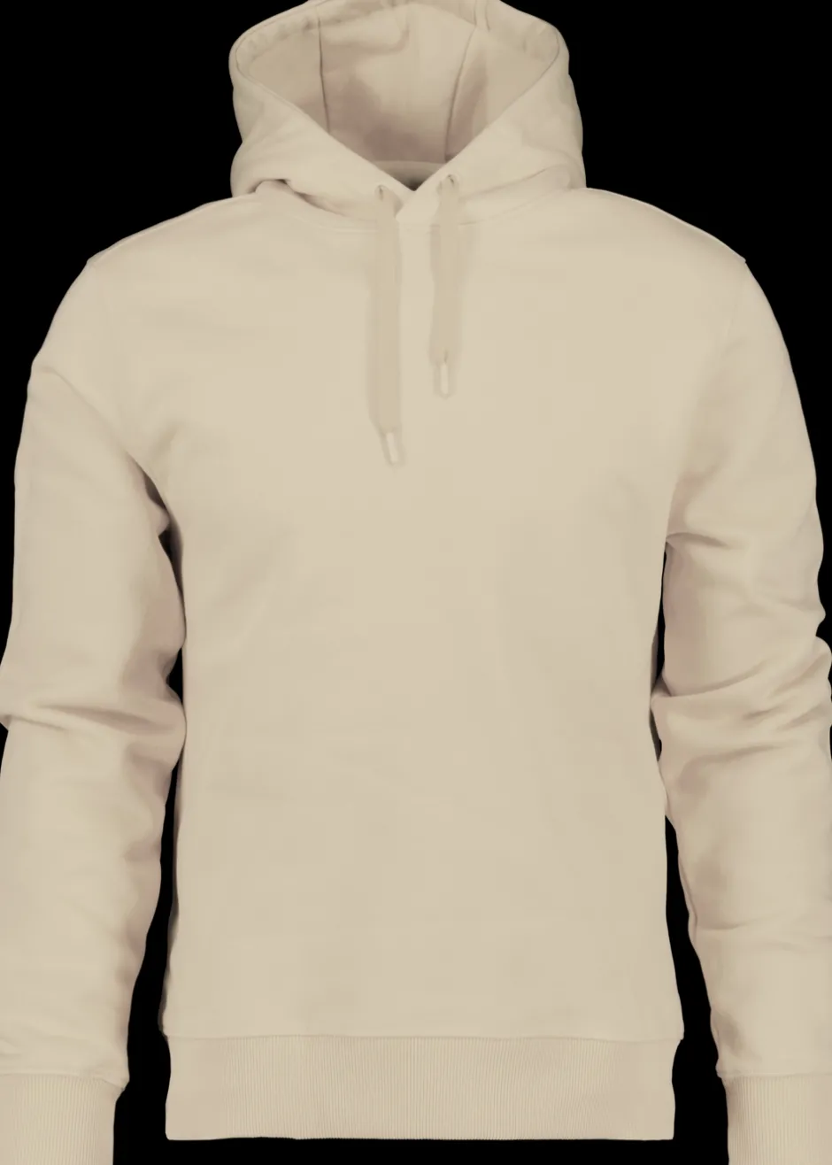 Didriksons Ven Men's Hoodie- Hoodies & Sweatshirts