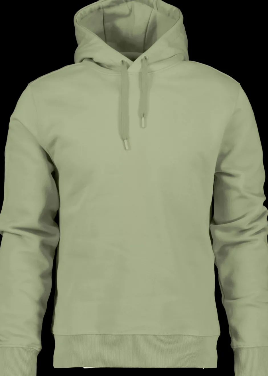Didriksons Ven Men's Hoodie Landscape- Hoodies & Sweatshirts