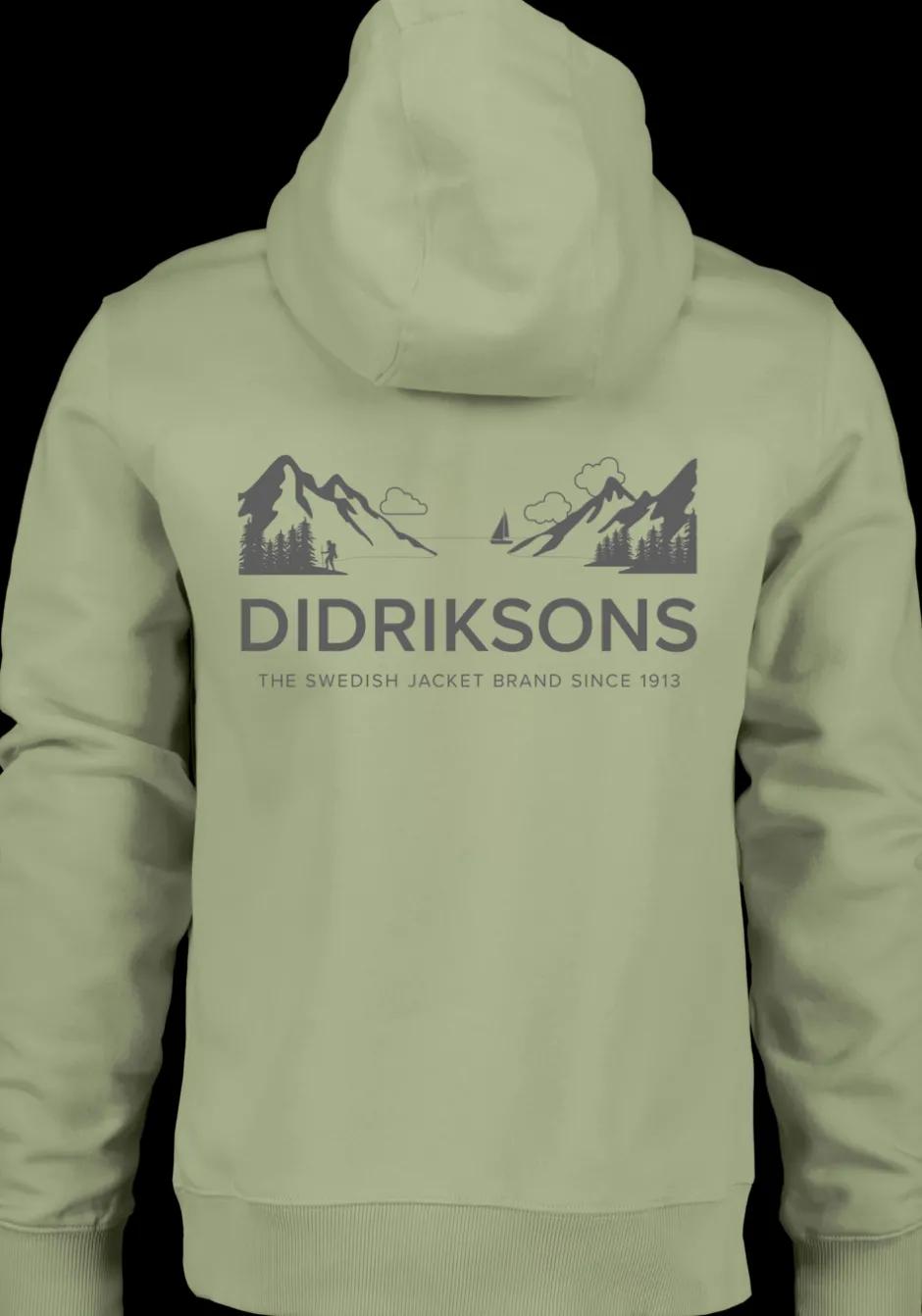Didriksons Ven Men's Hoodie Landscape- Hoodies & Sweatshirts